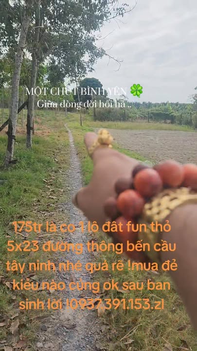 Đất nền Bến Cầu Tây Ninh 115m² giá 178 triệu - Cơ hội đầu tư hấp dẫn!