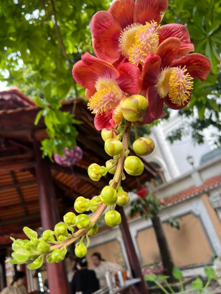 Đất nền Tân Mộc Lục Ngạn 300m² - Cơ hội đầu tư sinh lời tuyệt vời!