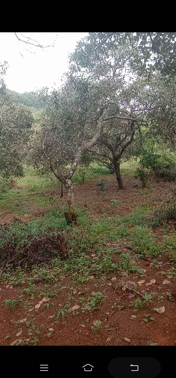 Đất nền Tiến Hưng, Đồng Xoài 14.000m² giá 1 tỷ - Đường ô tô, vị trí đẹp!