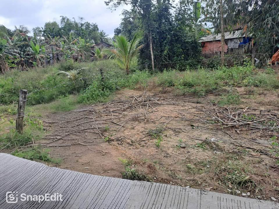 Đất nền Nghĩa Kỳ 120m² giá 480 triệu - Gần chợ, đường ô tô thuận tiện!