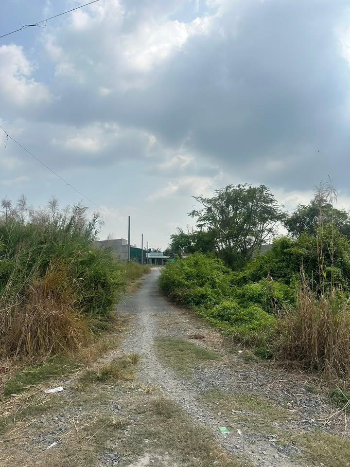 Đất thổ cư 120m² tại Nhựt Chánh, Bến Lức - Giá chỉ 580 triệu VND