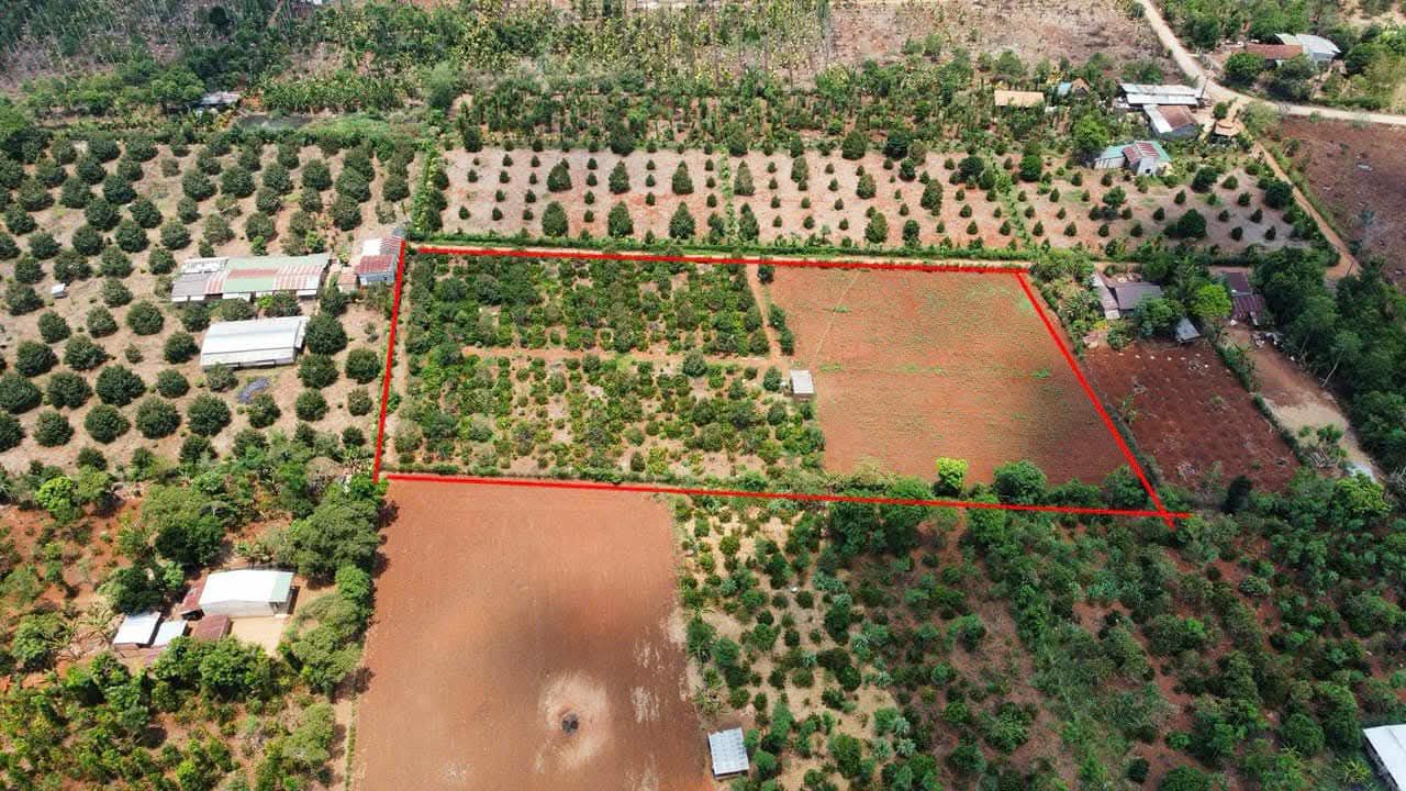 Đất nông nghiệp Ea Kar Đắk Lắk 7000m² giá 2 tỷ - Tiềm năng kinh doanh lớn!