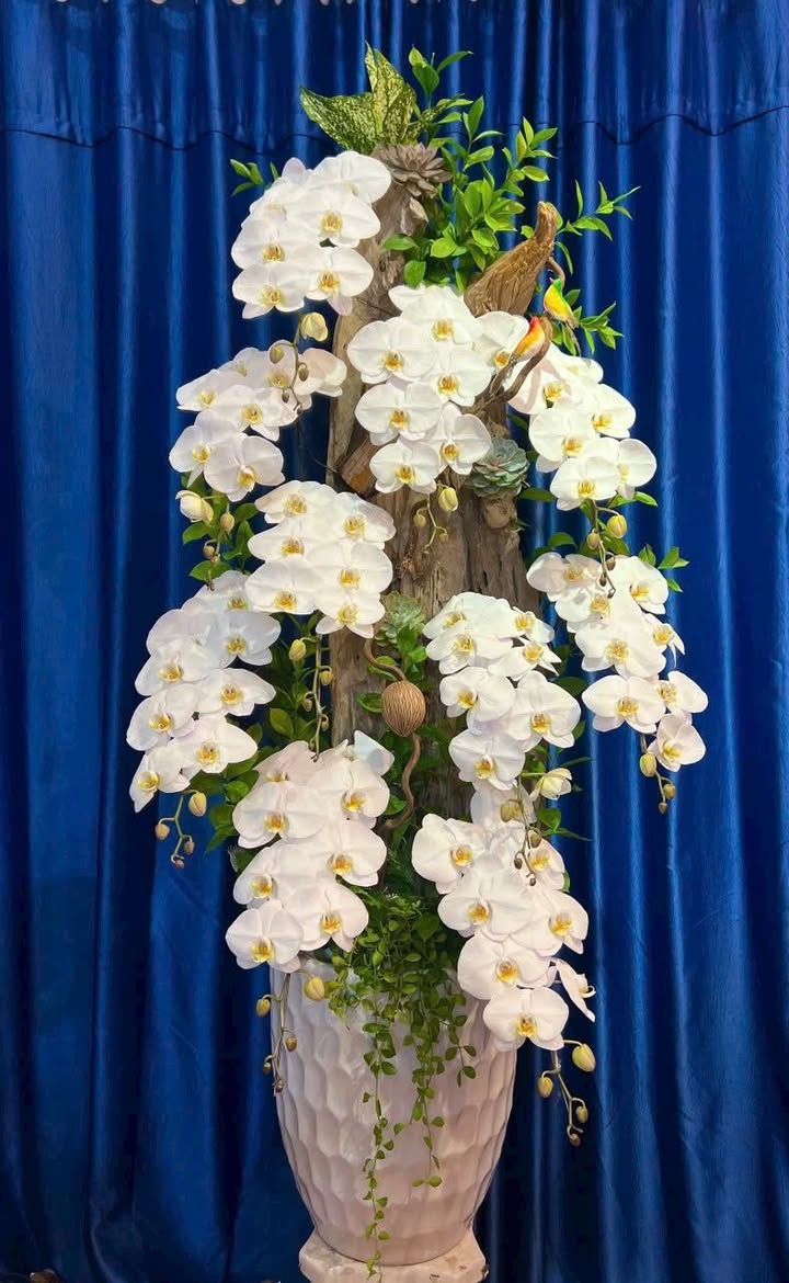 Đất nền 117/3 Bàn Cờ, Quận 3, 87m² - Giá tốt không thể bỏ lỡ!