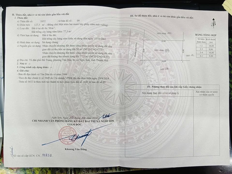 Đất nền 270m² tại Phường Tân Dân, Thị xã Nghi Sơn - Giá chỉ 1 tỷ VND