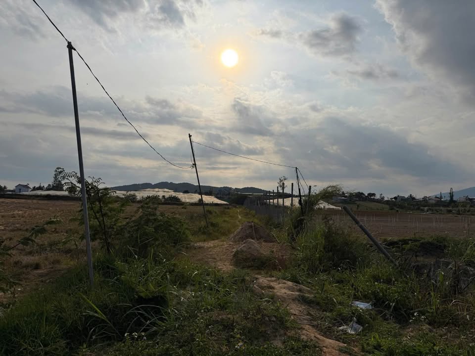 Đất nền Farm Lạc Xuân Đơn Dương 2448m² giá 4.698 tỷ - Tiềm năng phát triển cao!