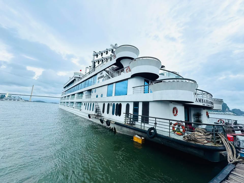 Đất nền Đông Hội, Đông Anh 80m² giá 1.6 tỷ - Kinh doanh tốt, sổ đỏ chính chủ!