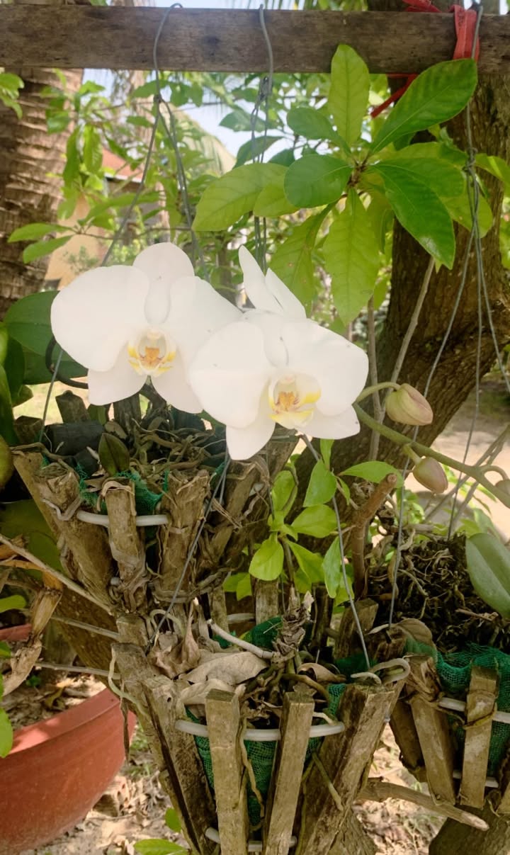 Nhà 2 mê Phước Hậu 3, Tuy Hòa 146m² giá 2.45 tỷ - Hẻm xe tải thông thoáng!