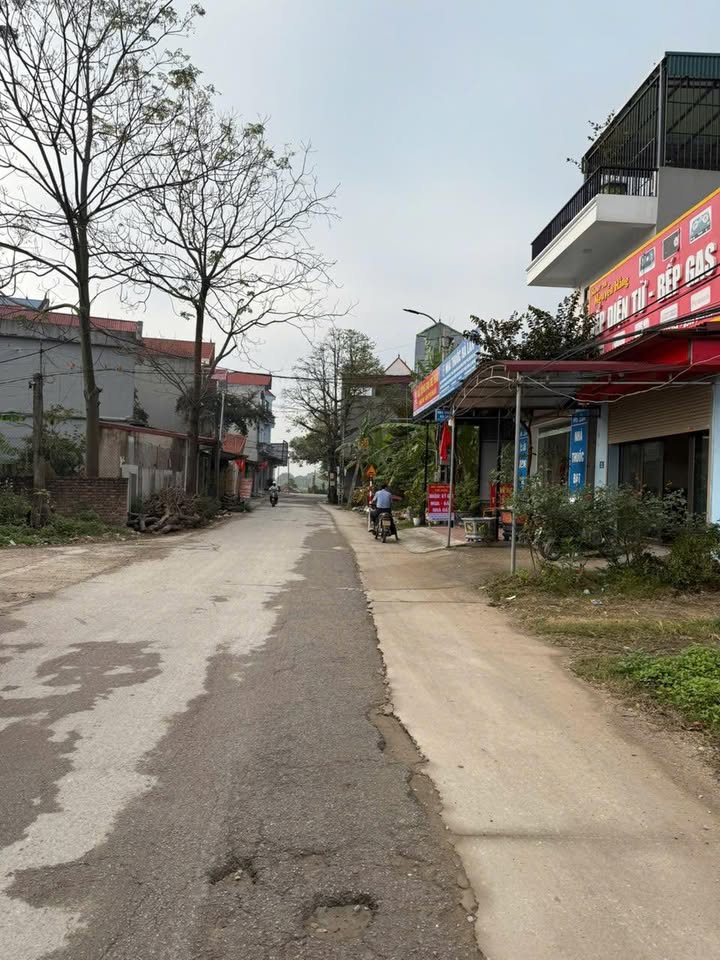 Đất nền TDP Râm - Tự Lạn 100m² giá 2.7 tỷ - Mặt tiền kinh doanh lý tưởng!