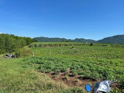 Đất vườn 2.000m² Khánh Hiệp, Khánh Vĩnh giá 320 triệu - Cơ hội đầu tư tuyệt vời!