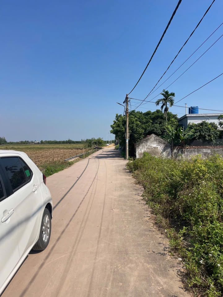 Đất nền Nam Cường, Tiền Hải 113m² giá chỉ 8xx triệu - Đầu tư sinh lời ngay!