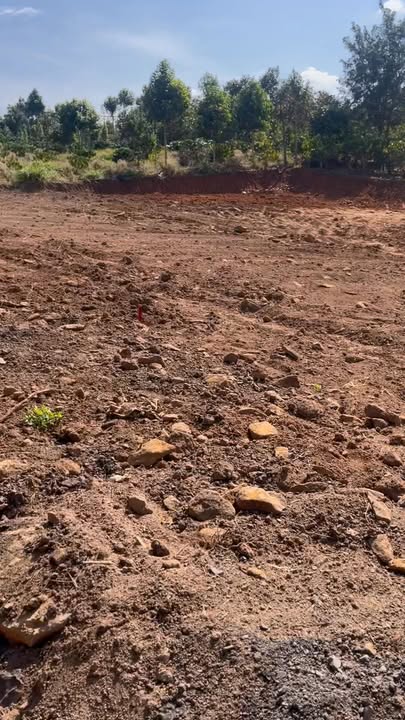 Đất nền Xã Ea Ral 150m² giá 299 triệu - View hồ sinh thái tuyệt đẹp!