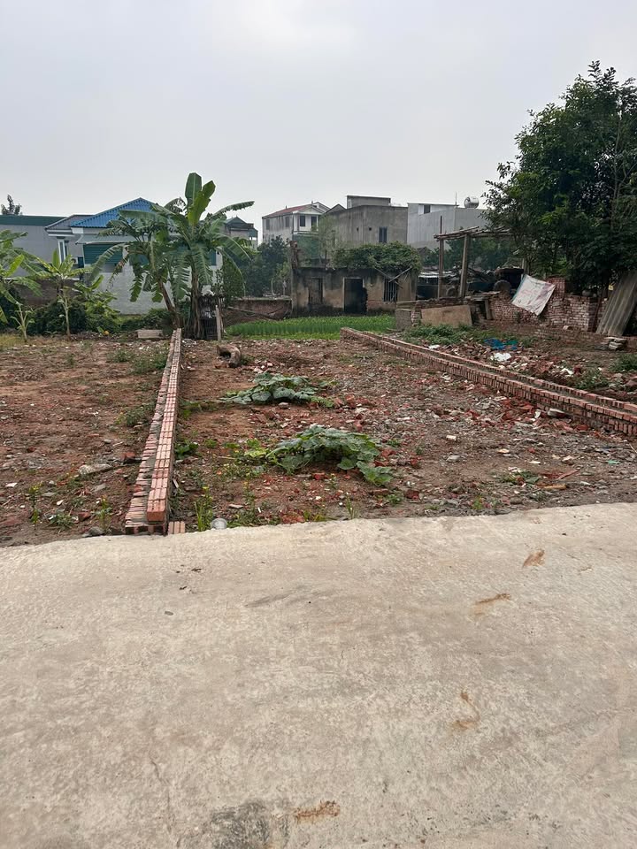 Đất nở hậu 60m² tại Ninh Xá, Thuận Thành - Giá chỉ 1 tỷ, đầu tư sinh lời!