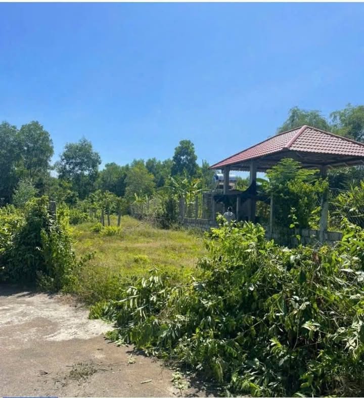 Nhà vườn Thôn 5 Hòa Khương, 249m² giá 900 triệu - Đất sạch đẹp, không lụt!