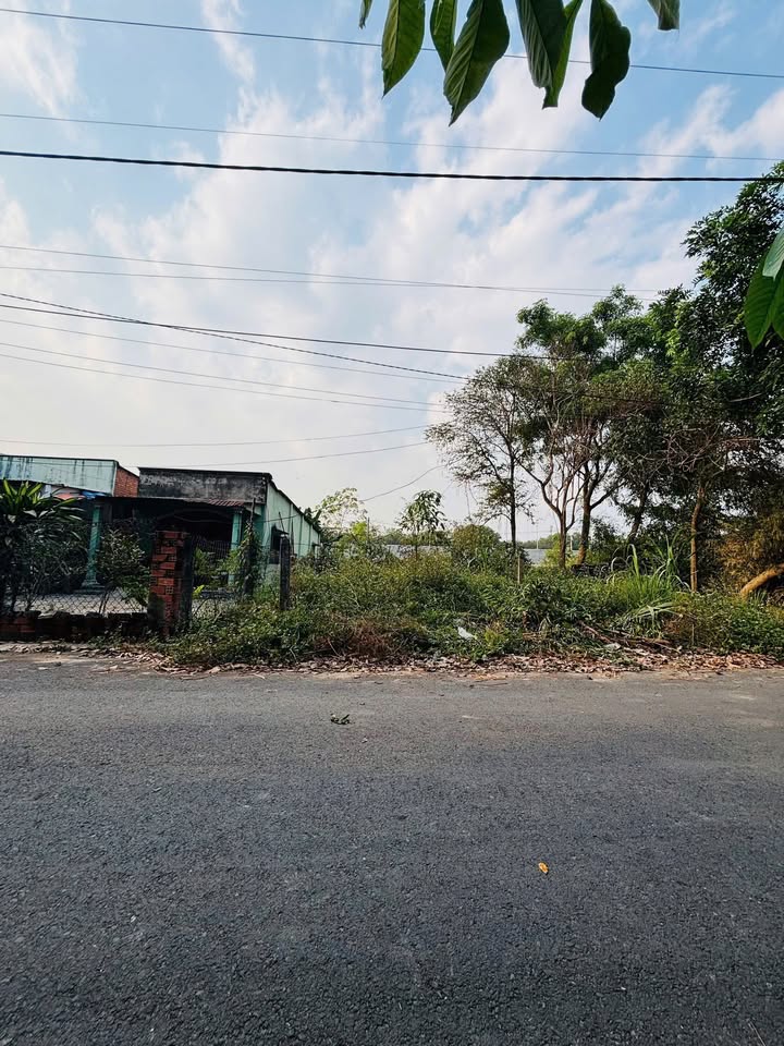 Đất nền phường Chánh Hiệp, Thủ Dầu Một 189m² giá 2.35 tỷ - Tiềm năng đầu tư cao!