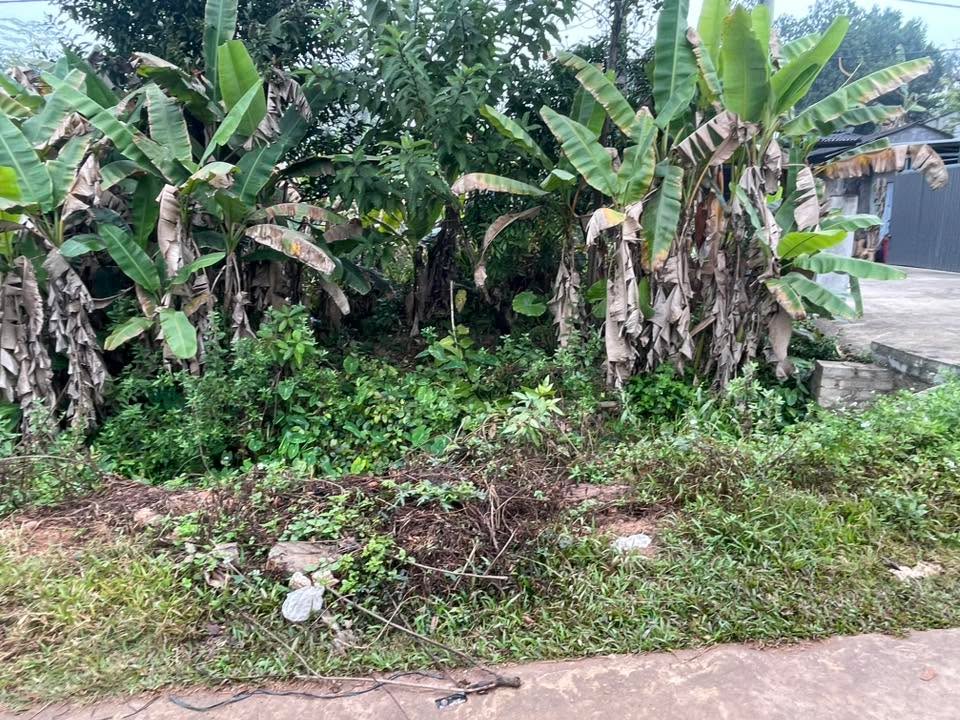 Đất nền Gò Móc, Thịnh Đán 140m² giá 1 tỷ - Đường to, ô tô tránh nhau!