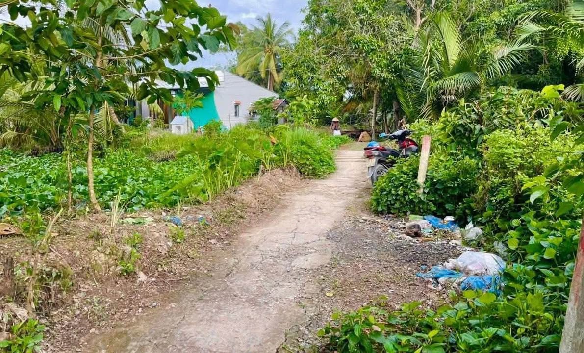 Đất nền Ấp Tân Nhơn, Cần Thơ 95m² giá 450 triệu - Đầu tư ngay!