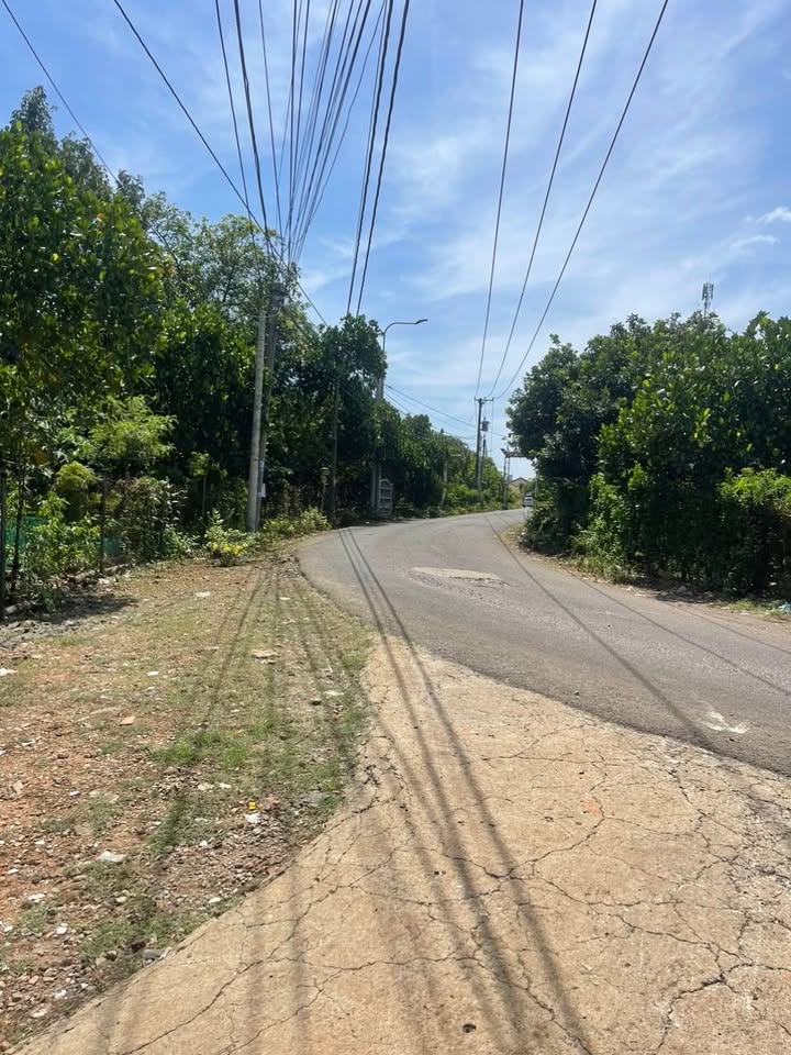 Đất nền 1000m² tại Phường Bảo Vinh, Long Khánh - Giá chỉ 1.1 tỷ, sổ đỏ riêng!