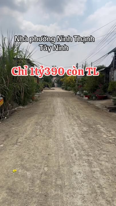 Nhà Phường Ninh Thạnh, Huyện Dương Minh Châu 155m² giá 1.39 tỷ - Nhà đẹp vào ở ngay!