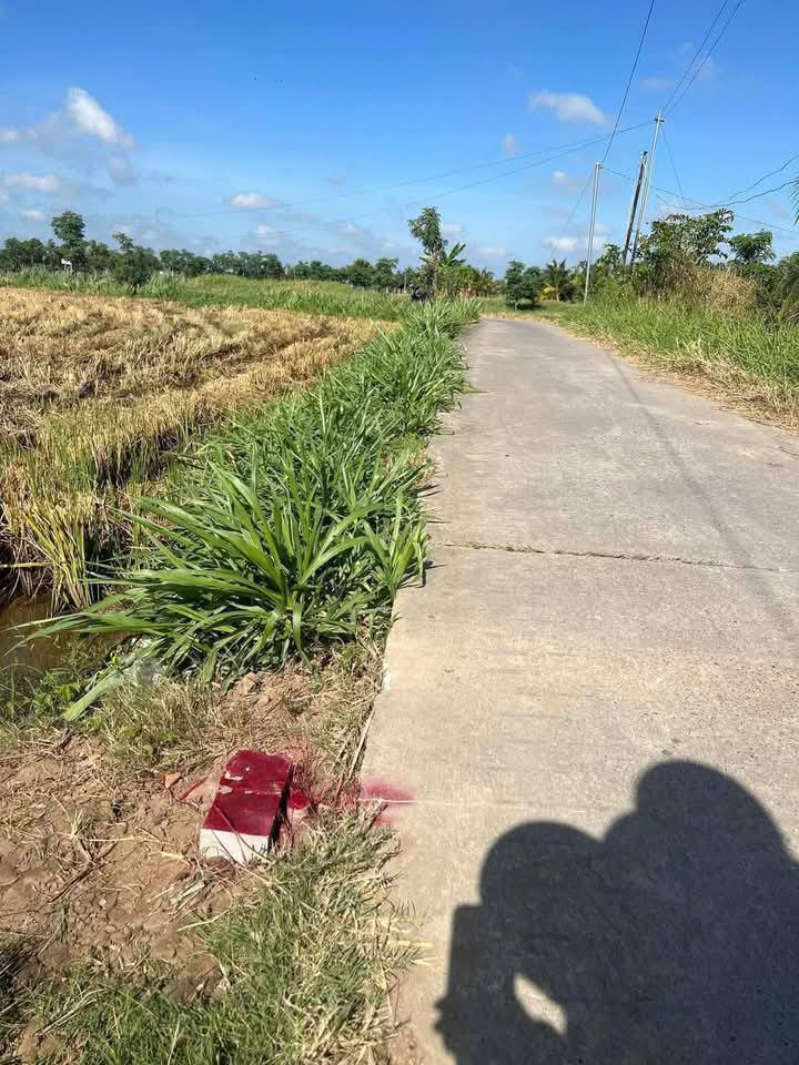 Đất nền 560m² tại ấp 6, xã Tân Tây, giá từ 200 triệu - Cơ hội đầu tư hấp dẫn!