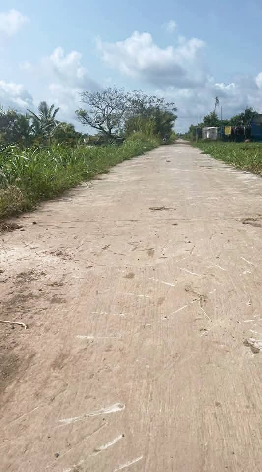 Đất nông nghiệp Gò Công Đông 4280m² giá 1.412 tỷ - Sổ đỏ chính chủ, thương lượng