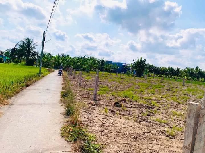 Đất nền Khu Phố Long Bình Gò Công 210m² giá 330 triệu - Sổ hồng chính chủ!