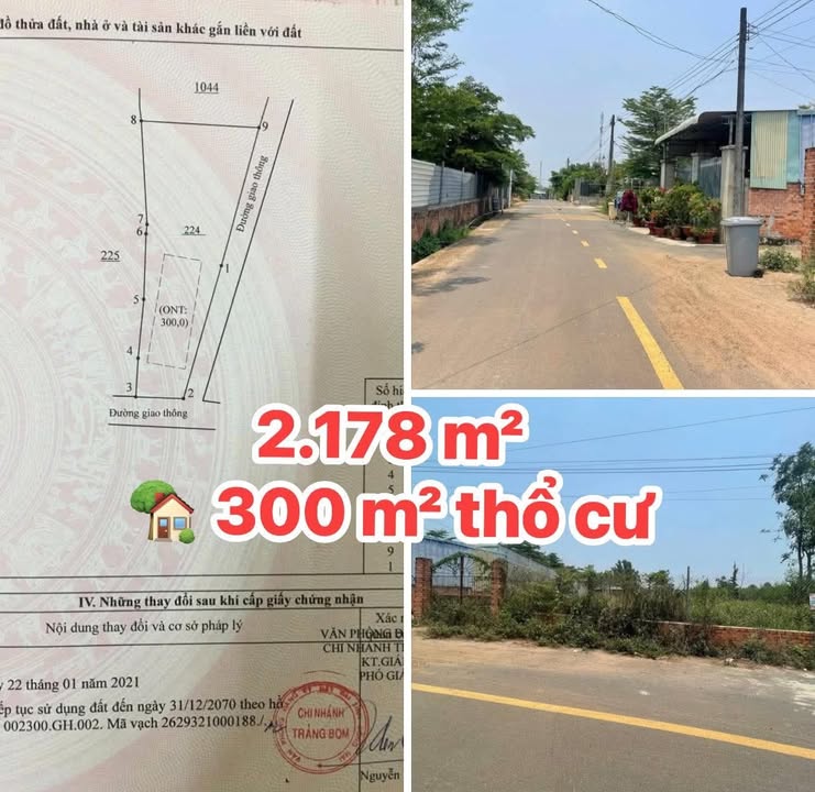 Đất nền góc 2 mặt tiền đường nhựa lớn tại Giang Điền, Trảng Bom 2.178m² - Cơ hội đầu tư hấp dẫn!