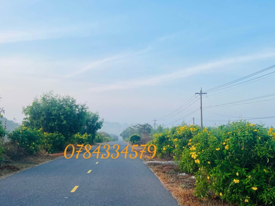 Đất nền Hòa Thắng, Huyện Bắc Bình, 8400m² - Cơ hội đầu tư vàng!