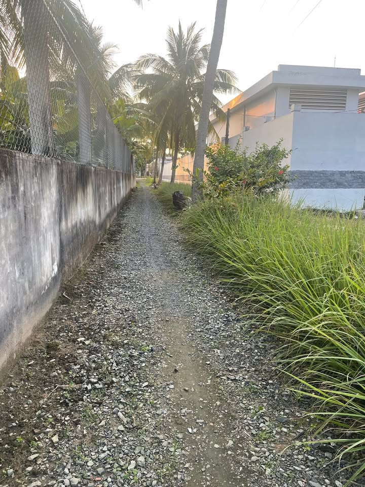 Đất nền Trà Cú 1450m² giá 2 tỷ - Đầu tư lợi nhuận cao!