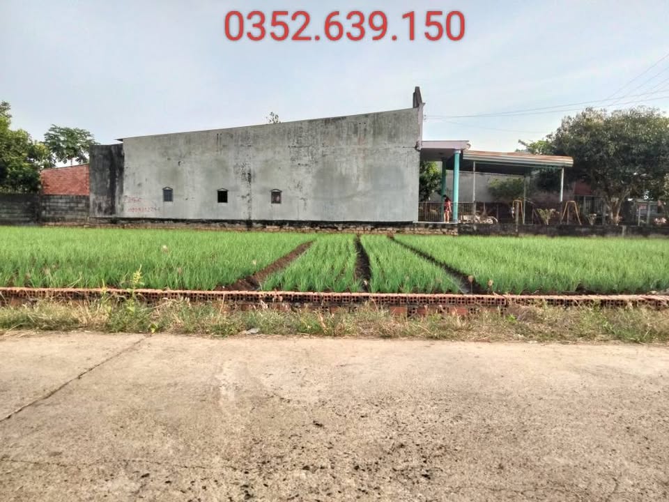 Đất nền lô góc 3 mặt tiền Châu Pha Phú Mỹ 600m² giá chỉ 3 tỷ - Cơ hội đầu tư lý tưởng!