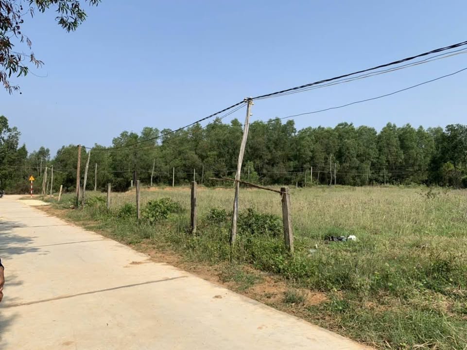 Đất thổ cư Tân Quan, Huyện Hớn Quản 2373m² giá 3.54 tỷ - Mặt tiền đường Petong