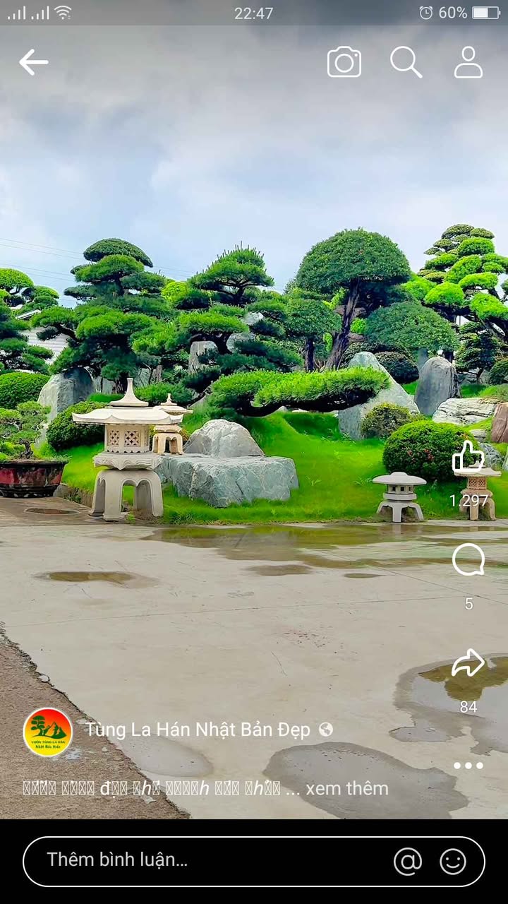 Đất cho thuê 400m² tại Nguyễn Công Trứ, Đức Trọng - Giá chỉ 2 triệu/tháng