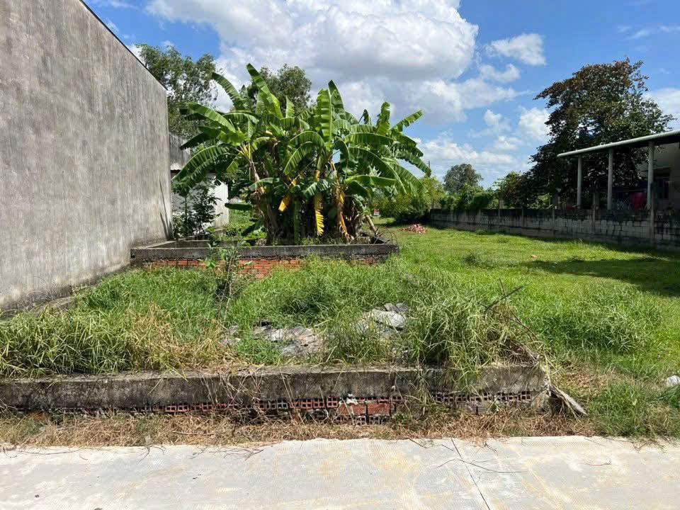 Đất thổ cư mặt tiền đường 6m, Xã Đức Hòa Đông, 825m² giá 2.95 tỷ - Cơ hội đầu tư tuyệt vời!