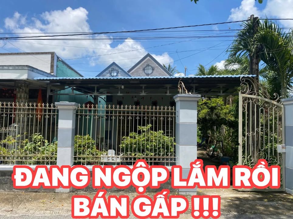 Nhà mái thái đẹp tại Phường Tân Ngãi, Vĩnh Long 462m² giá 1 tỷ - Sẵn sàng vào ở!
