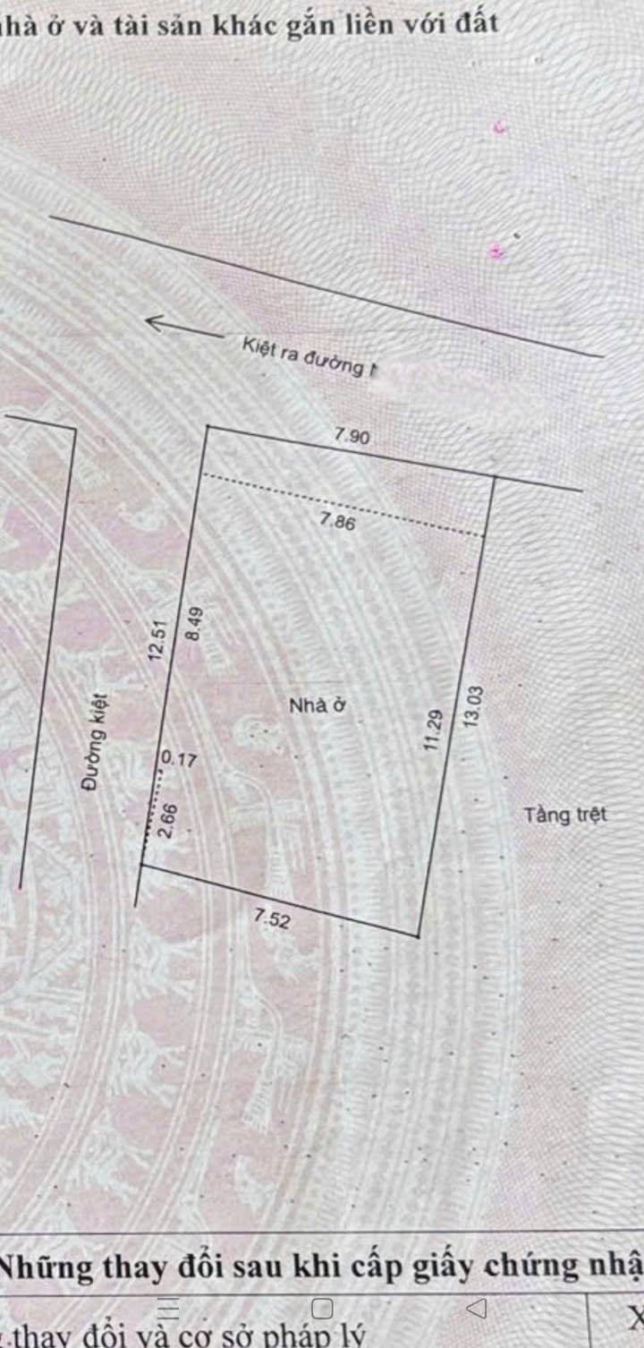 Đất nền lô góc 100m² đường Trần Duy Chiến, Sơn Trà, Đà Nẵng - Giá 7.4 tỷ, ô tô vào tận nơi!