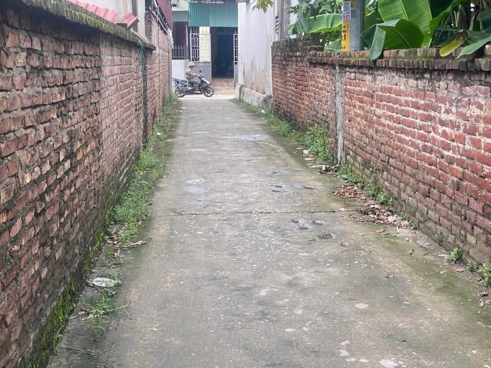 Đất nền Đại Xuyên - Phú Xuyên - 94m² giá chỉ 2 tỷ - Đường ô tô vào đất!