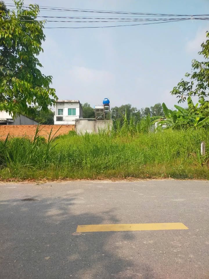 Đất nền mặt tiền đường nhựa xã Mỹ Hạnh Bắc 168m² giá 1.65 tỷ - Cơ hội đầu tư hiếm có!