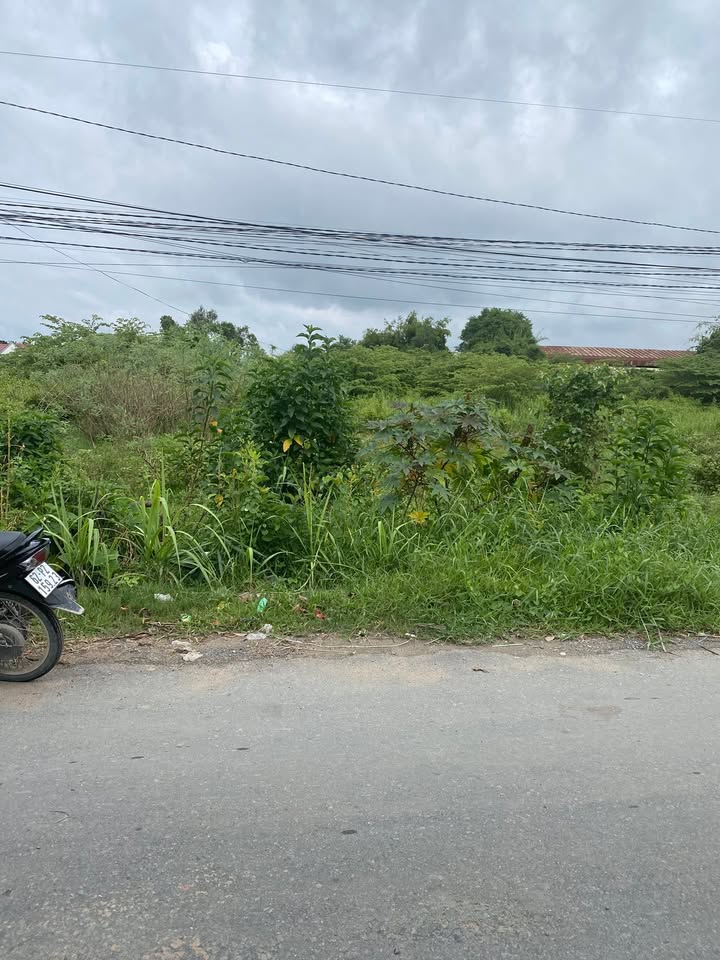 Đất nền 1.000m² tại Nhơn Hòa 2, Đức Hòa Thượng - Cơ hội đầu tư tuyệt vời!