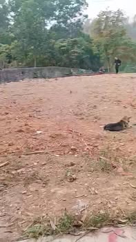 Đất thổ cư 102m² tại xã Xuân Lương, Yên Thế, Bắc Giang - Chỉ 400 triệu!