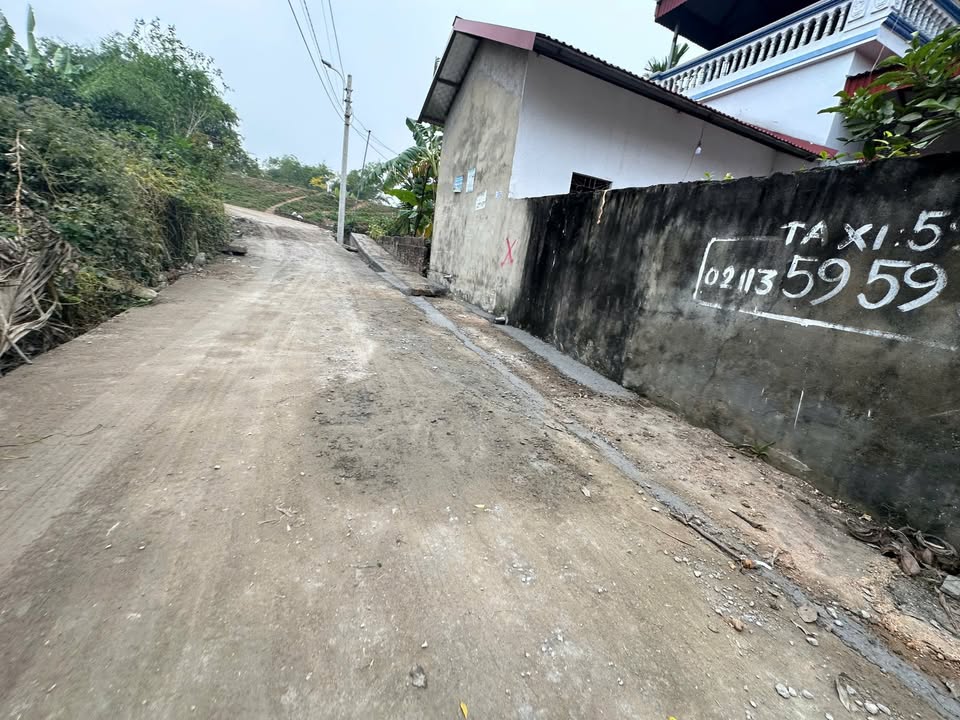 Lô đất góc 200m² tại An Hòa, Tam Dương, Vĩnh Phúc - Giá đầu tư cực hấp dẫn chỉ 1 tỷ!