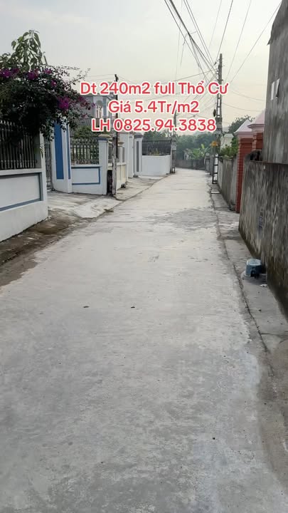 Đất thổ cư Minh Đức, Tứ Kỳ 240m² chỉ 1.296 tỷ - Giá tốt hiếm có!