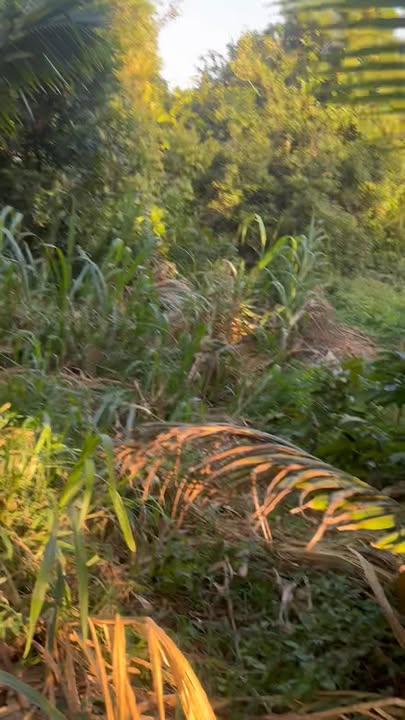 Đất nền 360m² xã Ea Ngai 1.8 triệu - Đường bê tông, điện nước đầy đủ!