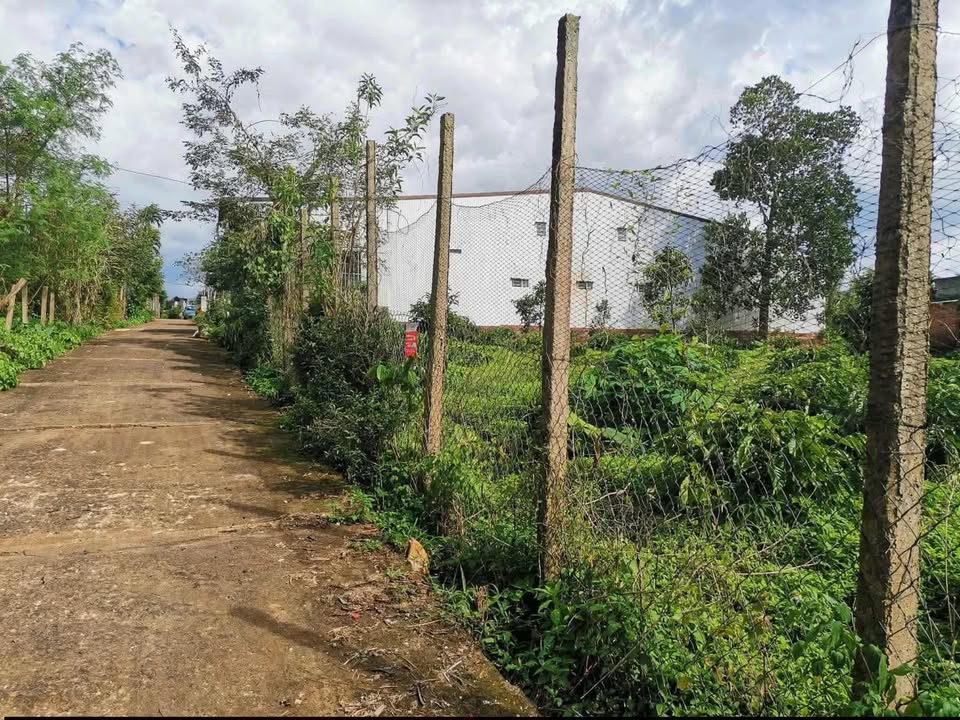 Đất thổ cư 319m² hẻm Lê Văn Hưu, Buôn Hồ - Giá chỉ 1.75 tỷ!