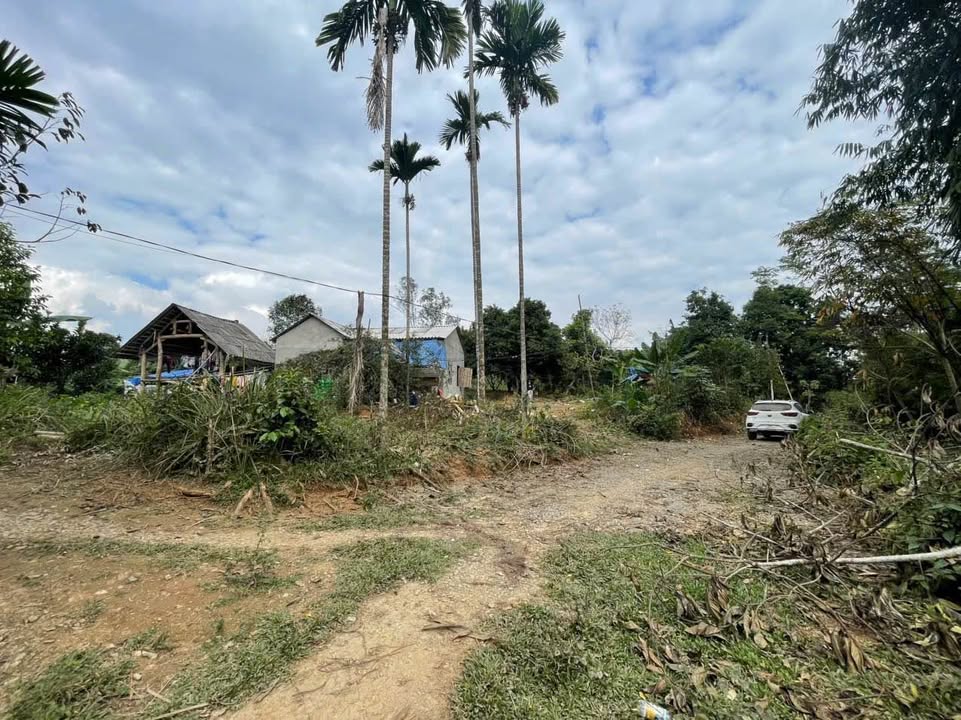 Đất thổ cư 1200m² Xã Lạc Sơn, Hòa Bình giá 800 triệu - Sổ hồng chính chủ!