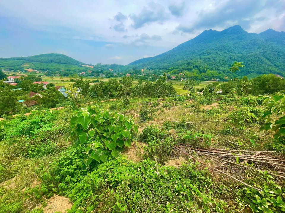 Đất nền Ba Vì 4300m² giá 2 tỷ - View núi cánh đồng tuyệt đẹp!