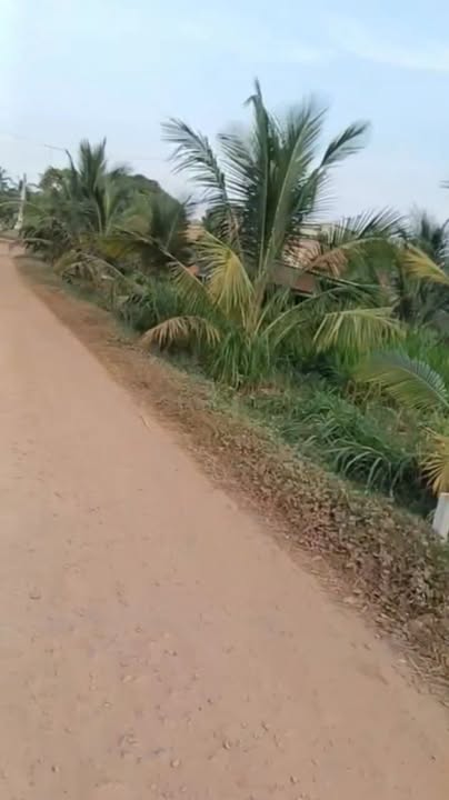 Đất ở Dương Minh Châu, Tây Ninh 1.400m² giá 489 triệu - Sổ hồng riêng chính chủ!