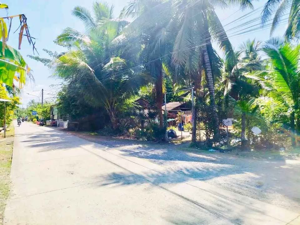 Đất mặt tiền Thuận Điền, Giồng Trôm, Bến Tre 7486m² giá 9.8 tỷ - Đầu tư sinh lời hấp dẫn!