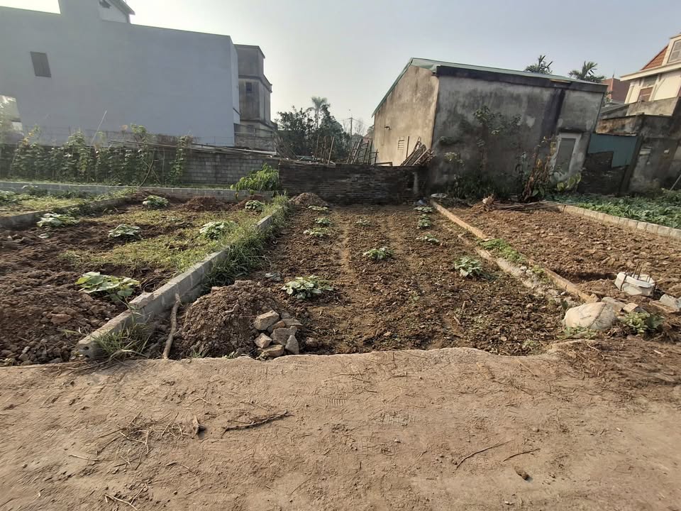 Đất nền Chương Dương, Thường Tín 43m² giá 3.55 tỷ - Đường ô tô đỗ cửa!