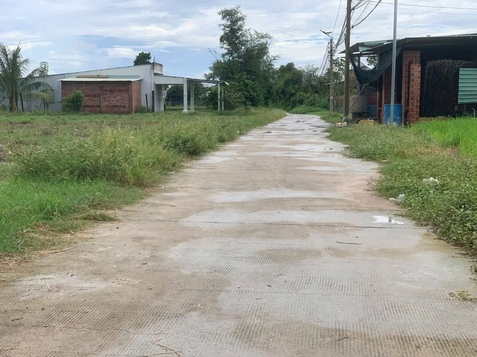 Đất vườn góc 2 mặt tiền - Xã An Ninh Tây, Đức Hòa, 1677m² chỉ 3.5 tỷ!