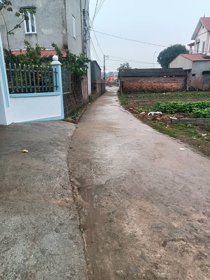 Đất nền Xã Đoan Bái, Huyện Hiệp Hòa 100m² giá 2 tỷ - Vị trí kinh doanh đắc địa!