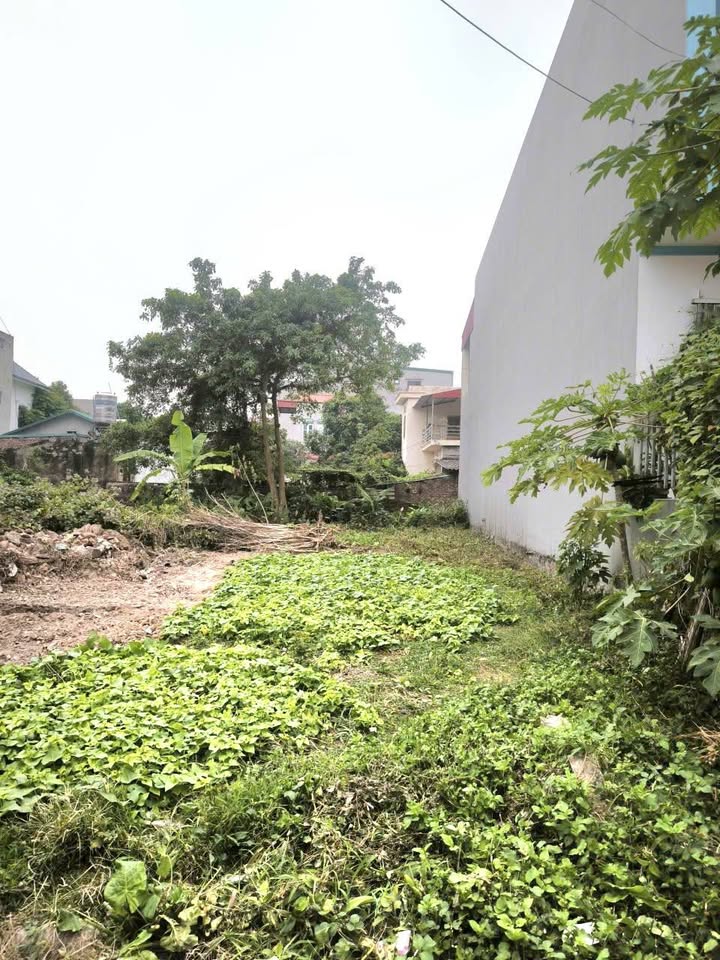 Đất nền chính chủ tại phường Nham Biền, 126m² - Cơ hội đầu tư tuyệt vời!